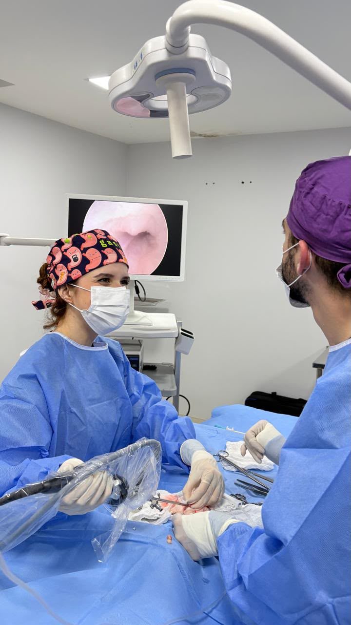 Raphaella Martins operando o endoscópio no centro cirúrgico, ao lado de outro veterinário, com a imagem do exame no monitor