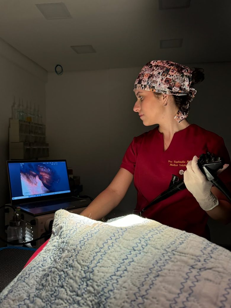 Raphaella Martins acompanhando no monitor as imagens de uma endoscopia
